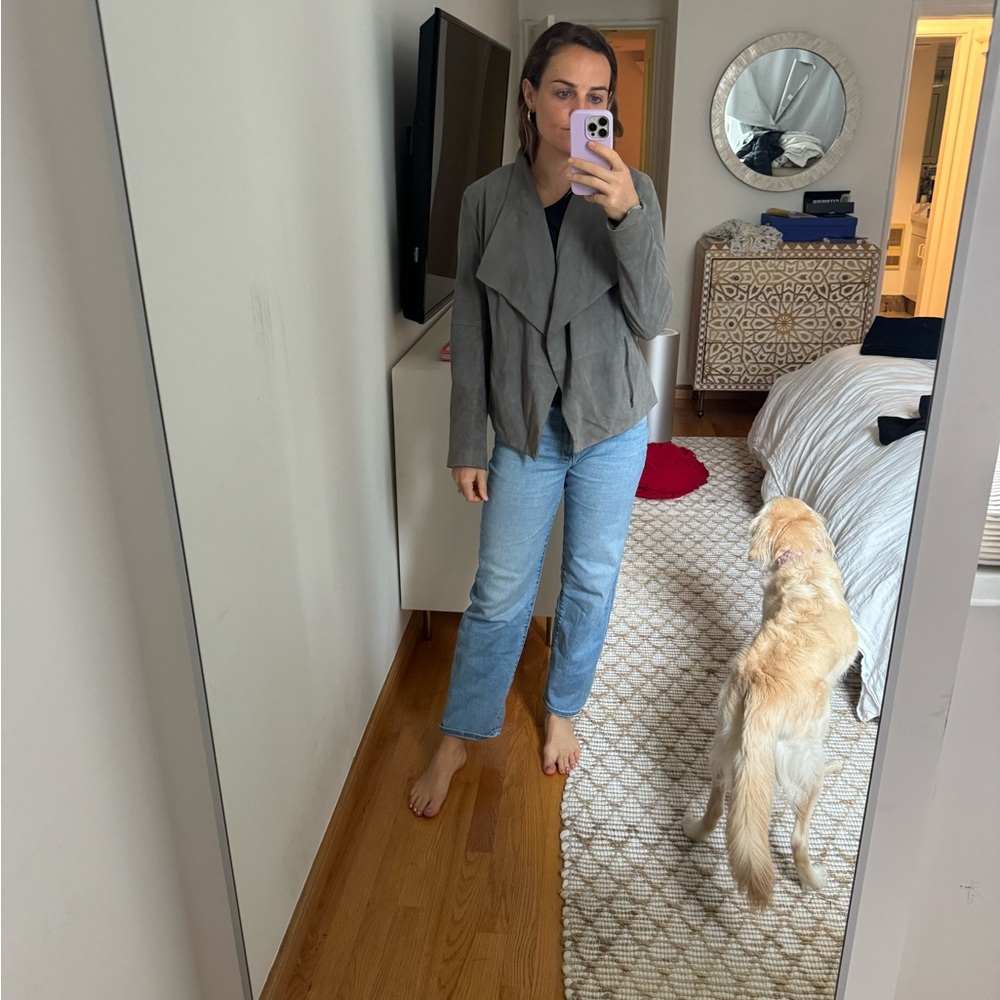 Gray Suede Joie Jacket, Size M (goat leather)